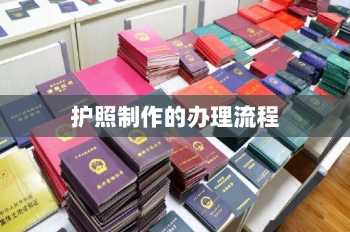 杂多护照制作的办理流程
