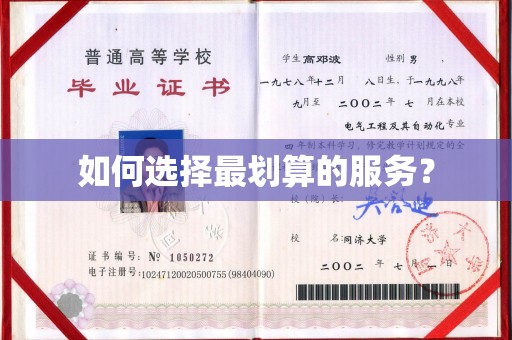 杂多如何选择最划算的服务？