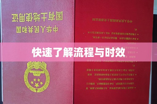 杂多快速了解流程与时效