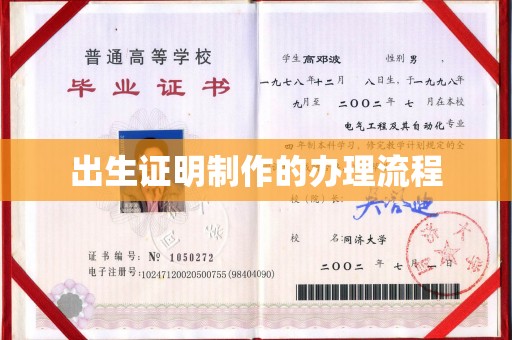 杂多出生证明制作的办理流程