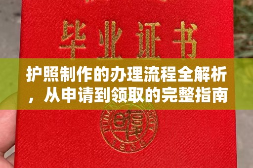 杂多护照制作的办理流程全解析，从申请到领取的完整指南