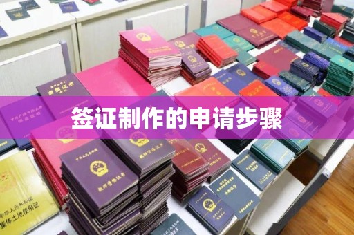 杂多签证制作的申请步骤