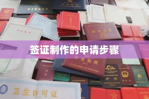 杂多签证制作的申请步骤