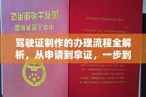 杂多驾驶证制作的办理流程全解析，从申请到拿证，一步到位！