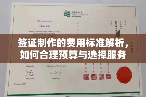 杂多签证制作的费用标准解析，如何合理预算与选择服务