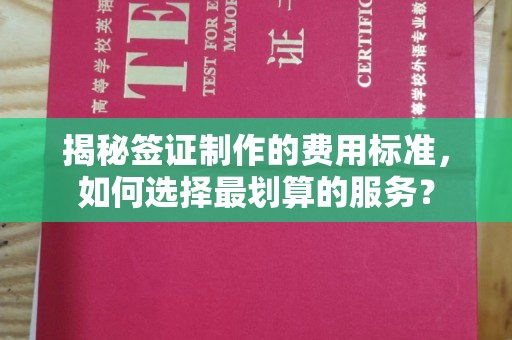 杂多揭秘签证制作的费用标准，如何选择最划算的服务？