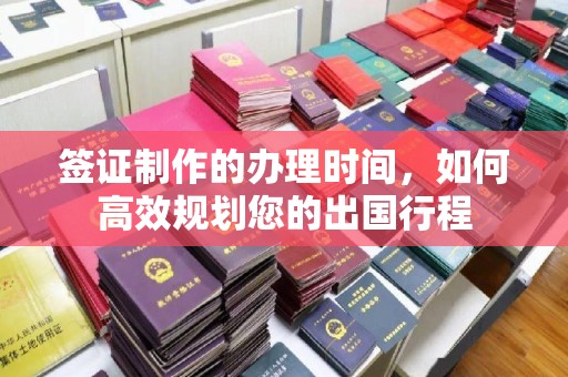 杂多签证制作的办理时间，如何高效规划您的出国行程