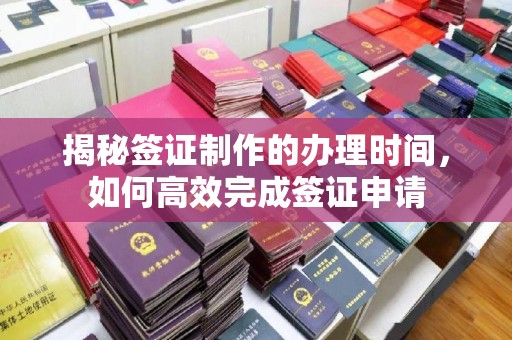 杂多揭秘签证制作的办理时间，如何高效完成签证申请