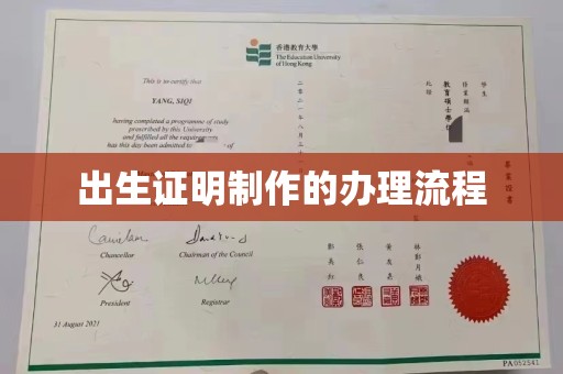 杂多出生证明制作的办理流程