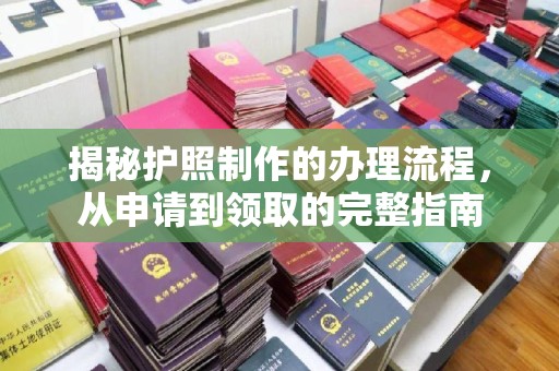 杂多揭秘护照制作的办理流程，从申请到领取的完整指南