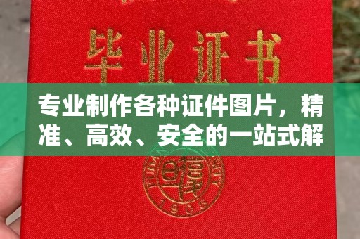 杂多专业制作各种证件图片，精准、高效、安全的一站式解决方案