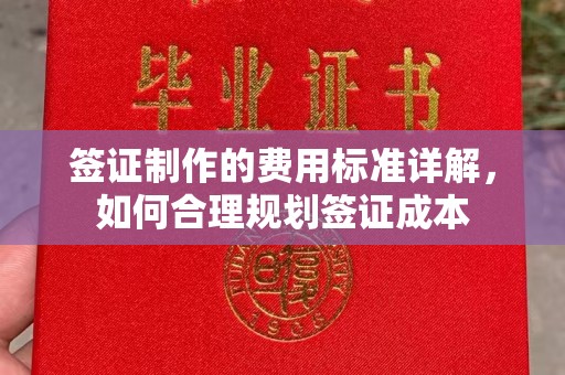 杂多签证制作的费用标准详解，如何合理规划签证成本