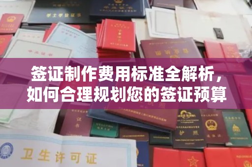 杂多签证制作费用标准全解析，如何合理规划您的签证预算？