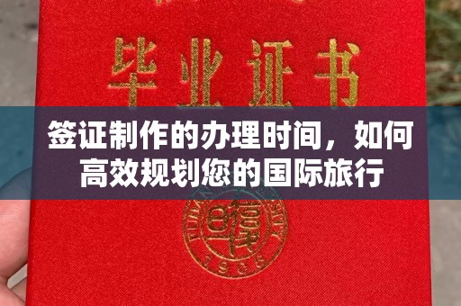 杂多签证制作的办理时间，如何高效规划您的国际旅行